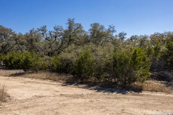 Boerne, TX 78006,BLOCK 2, LOT 5 Fortunate Son