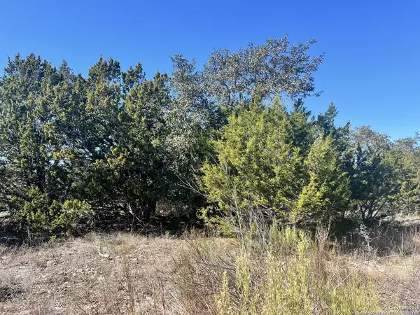 Spring Branch, TX 78070,422 EIDER COVE