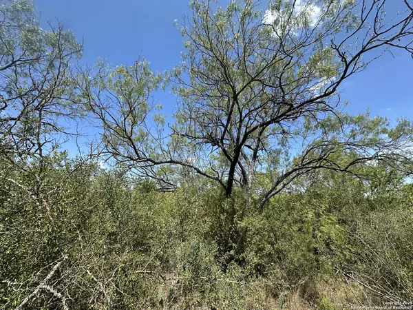 531 baltzell, San Antonio, TX 78221