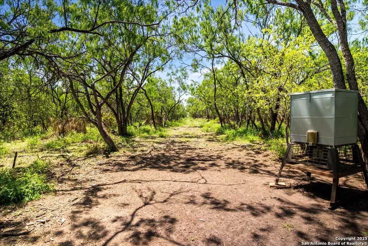 Sandia, TX 78383,000 CR 175