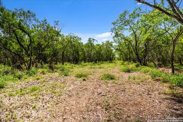 Sandia, TX 78383,000 CR 175