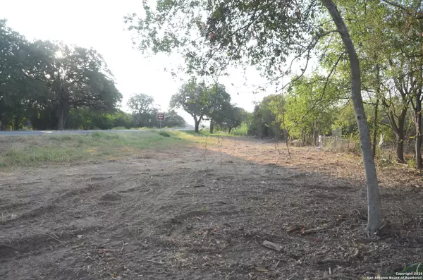 Devine, TX 78016,TBD Highway 173