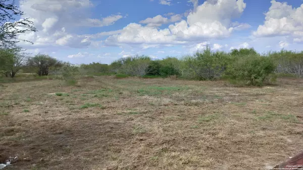 Kenedy, TX 78119,1198 FM 1145