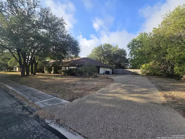 San Antonio, TX 78244,6207 pine needles
