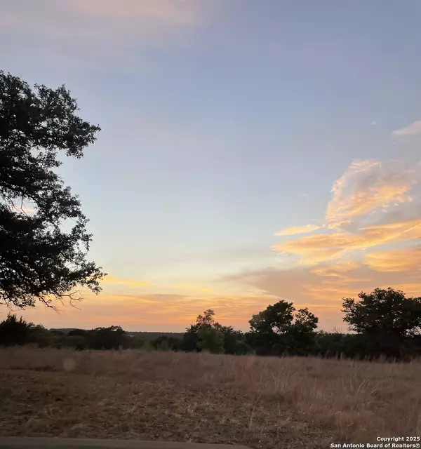 Blanco, TX 78606,LOT 31 Shady Hollow