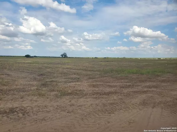 Moore, TX 78057,7915 County Road 2400