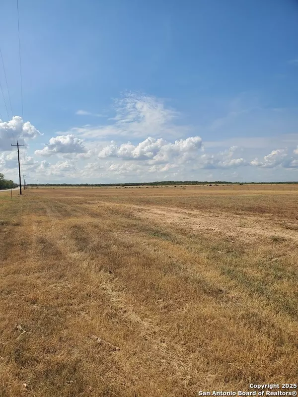 Moore, TX 78057,1196 County Road 1670