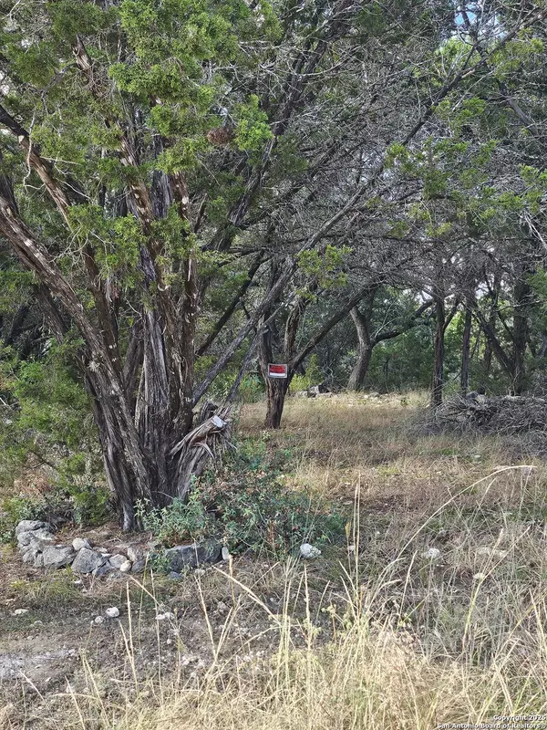 Canyon Lake, TX 78133,1645 Whispering Hills