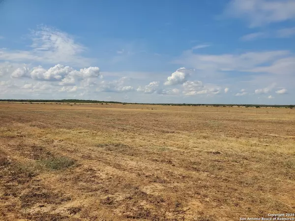 Moore, TX 78057,906 County Road 1670
