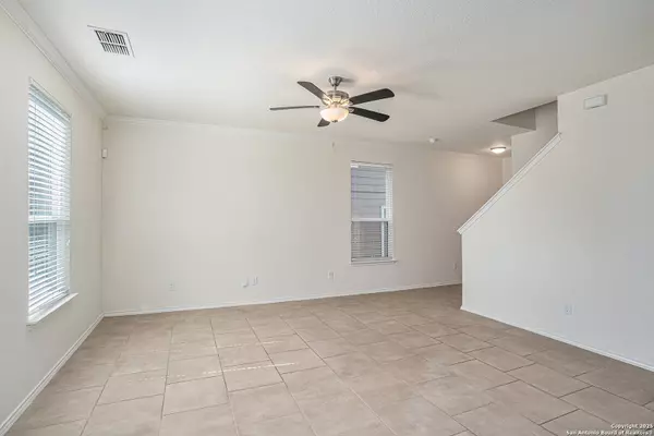 New Braunfels, TX 78130,261 Mistflower