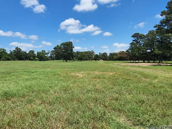 Centerville, TX 75833,TR 15 PR 1313