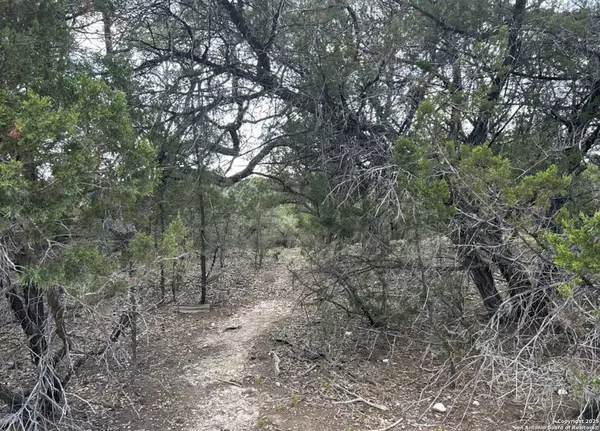 Bandera, TX 78003,LOT 7 Bat Masterson