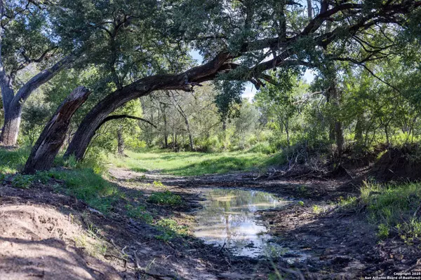 Yancey, TX 78886,444 County Road 748