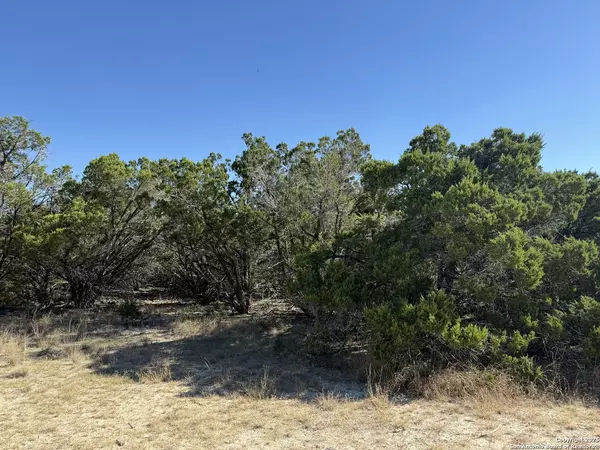 Spring Branch, TX 78070,LOT 90 Deer Creek