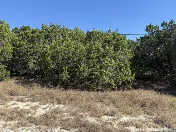 Spring Branch, TX 78070,1503 Lake