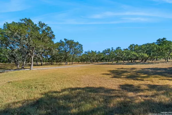 Bulverde, TX 78163,4708 Ammann