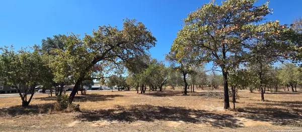 San Antonio, TX 78264,CB 4163A Redfern Drive Lot #113