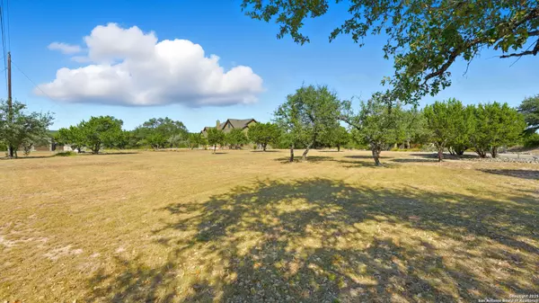 Spring Branch, TX 78070,123 Coneflower