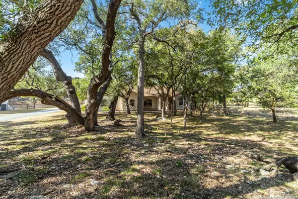 Spring Branch, TX 78070,339 Long Meadow