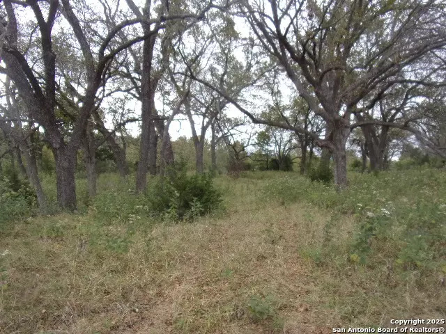 2942 FM 336, Leakey, TX 78873