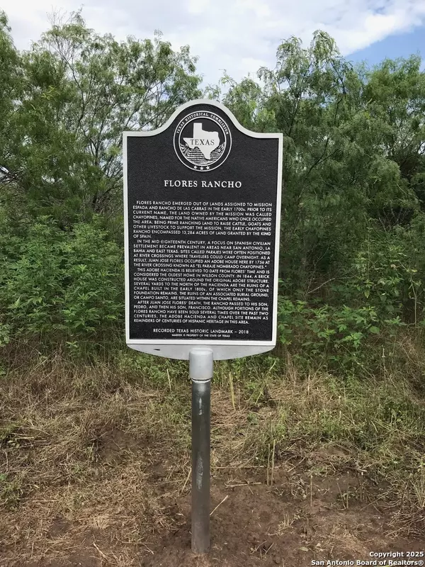 Floresville, TX 78114,1459 County Road 120