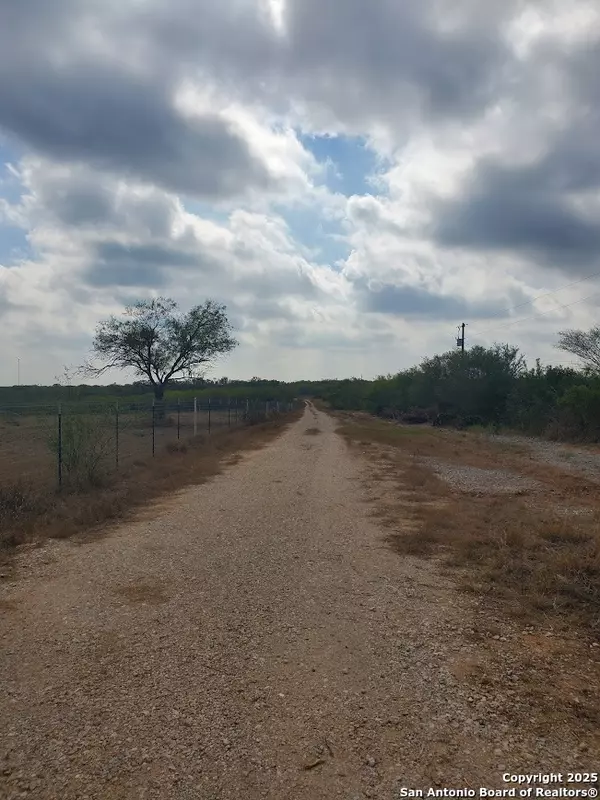 Pleasanton, TX 78064,320 Pullins Drive