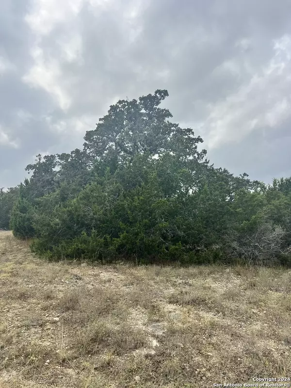 Spring Branch, TX 78070,1182 Mystic Shores Blvd