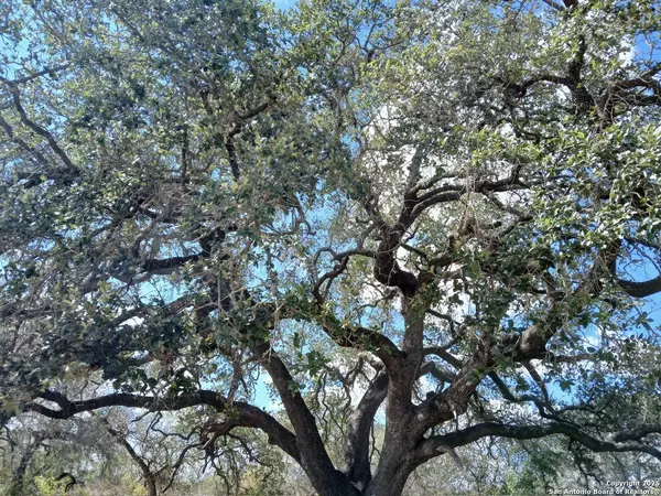 Bigfoot, TX 78005,4415 State Highway 173