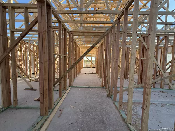 San Antonio, TX 78253,169 Desert Cactus