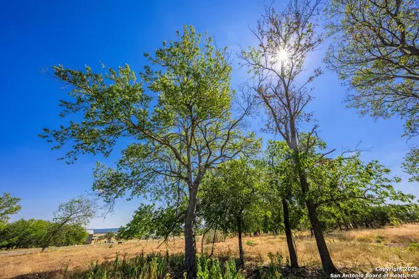 Fredericksburg, TX 78624,LOT 9 The Views Blvd