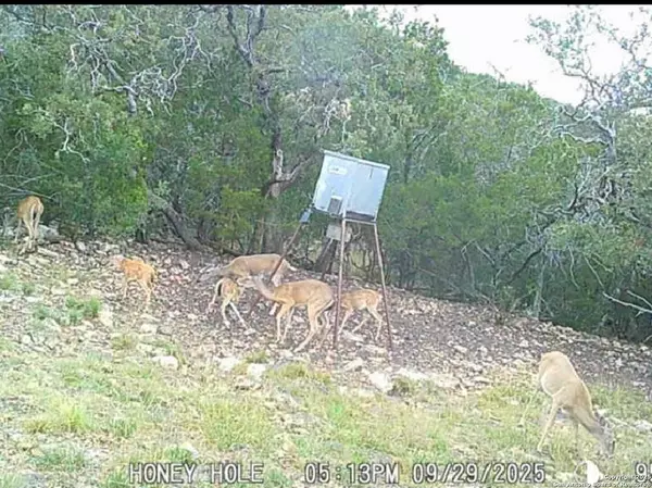 Rocksprings, TX 78880,00 Black Waterhole Ranch