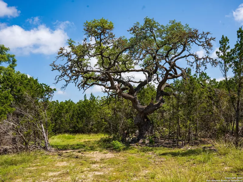 000 Oak Valley Ranch, Dripping Springs, TX 78620