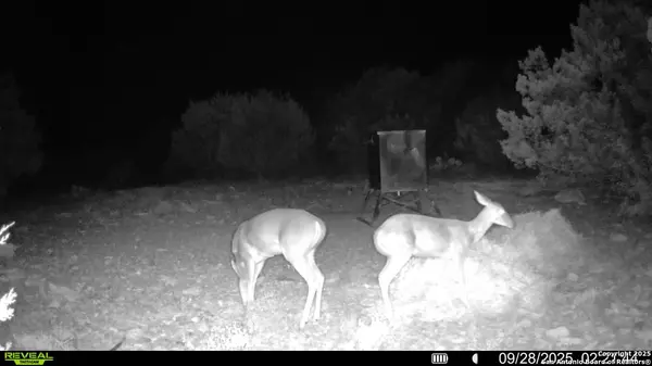 Rocksprings, TX 78880,TBD SD 45453