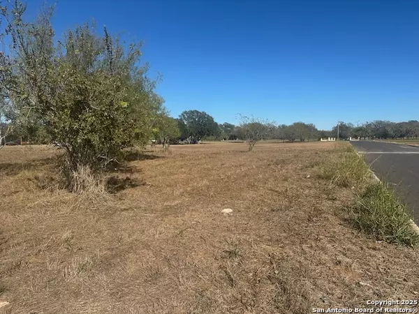 Pleasanton, TX 78064,000 PULLIAM DR