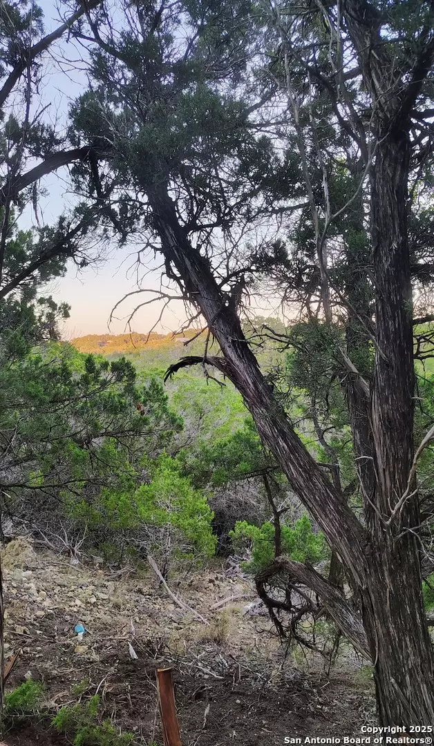 Bandera, TX 78003,181 Deer Run