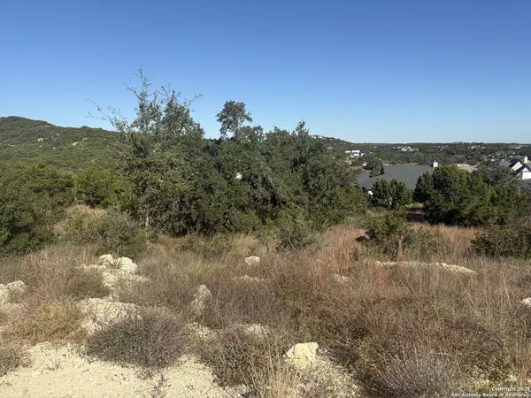 Boerne, TX 78006,11303 Stiehler Hill