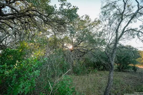 Rocksprings, TX 78880,1134 Sd # 45400