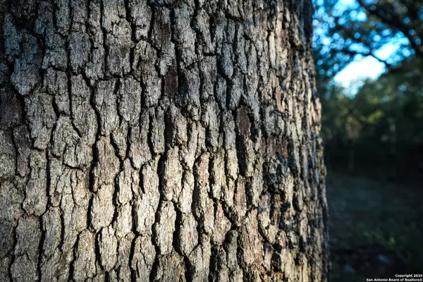 Rocksprings, TX 78880,1134 Sd # 45400