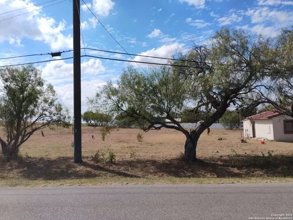 Elmendorf, TX 78112,17095 Old Corpus Christi