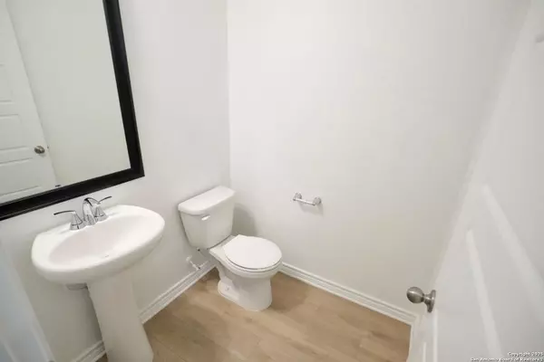 San Antonio, TX 78253,7746 canyon wren