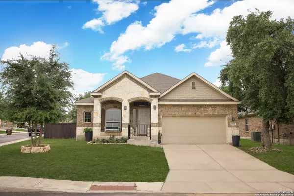 San Antonio, TX 78245,15143 gelding