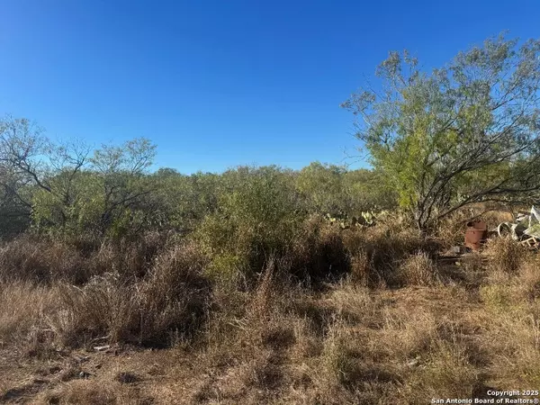 Christine, TX 78012,LOTS 2453-2455 Ave. J