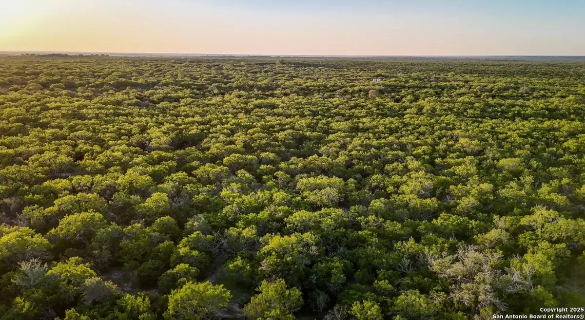 Beeville, TX 78102,000 County Line Rd # 120