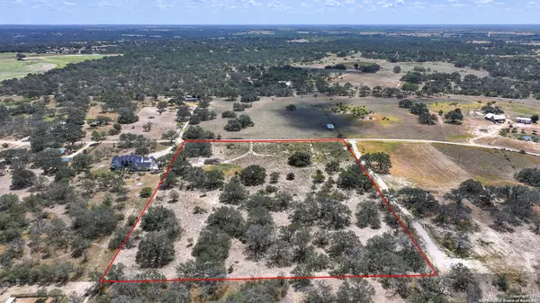 Poteet, TX 78065,461 blossom