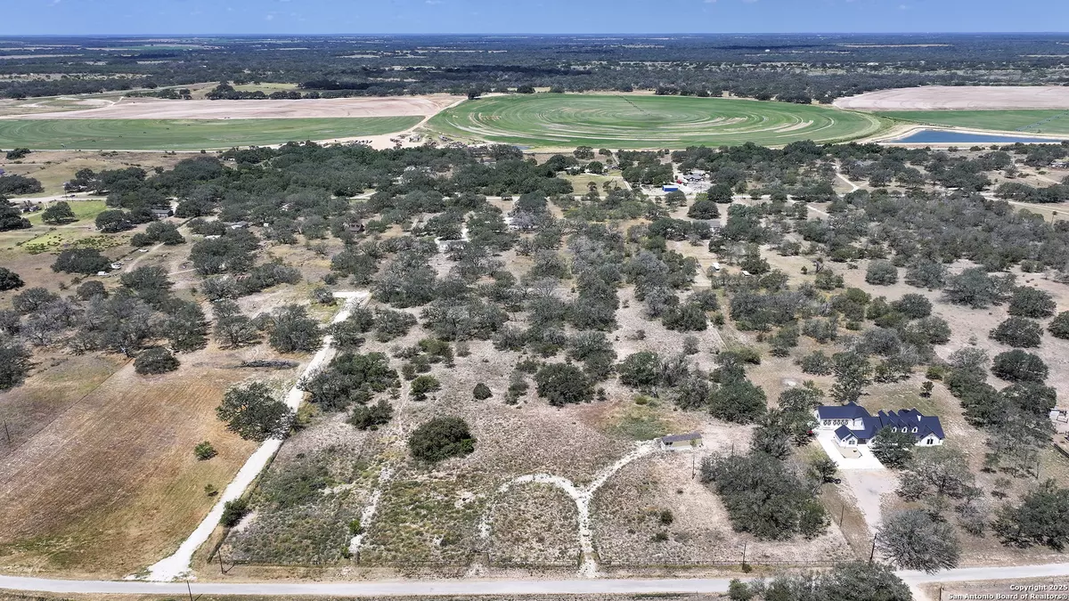 Poteet, TX 78065,461 blossom