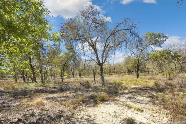 Elmendorf, TX 78112,22936 Crystal Water