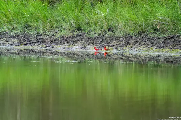 Kenedy, TX 78119,12937 FM 743