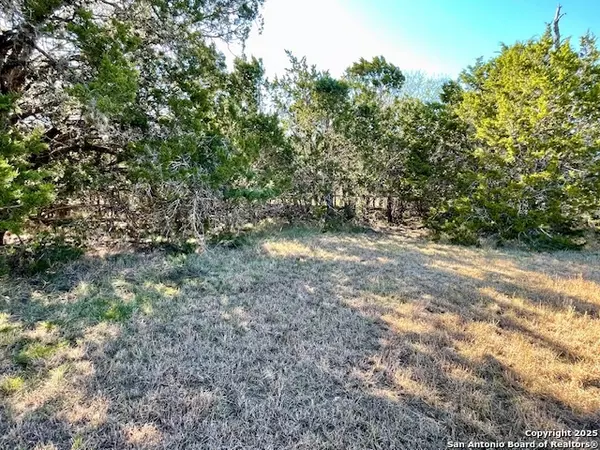 Bandera, TX 78003,LOT 85 PR 1518