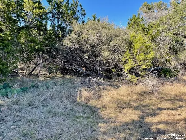 Bandera, TX 78003,LOT 85 PR 1518