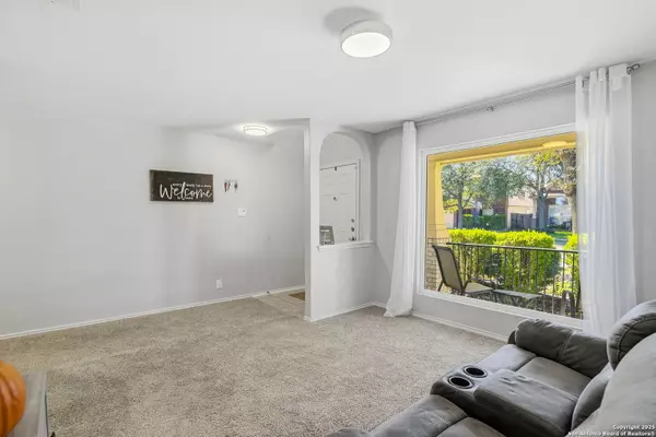 San Antonio, TX 78251,546 Lynx Mountain